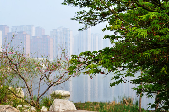 东湖景观