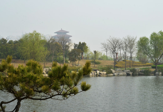 城市园林