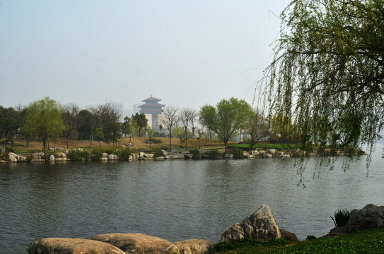 城市公园