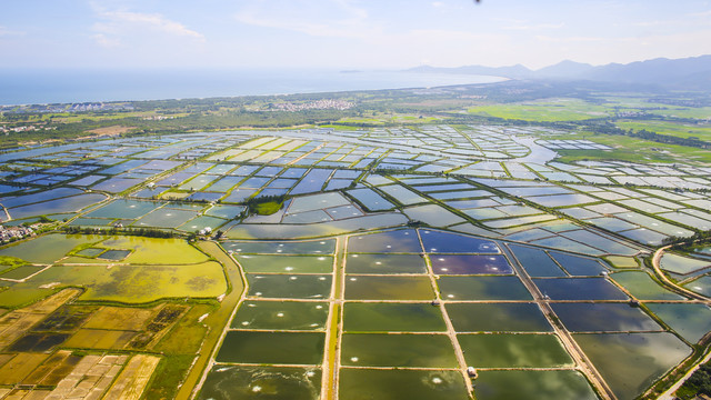 大地线条