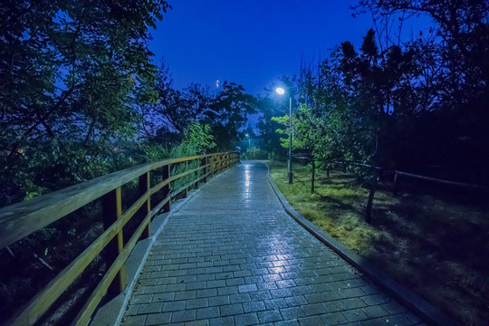 青岛海滨夜景