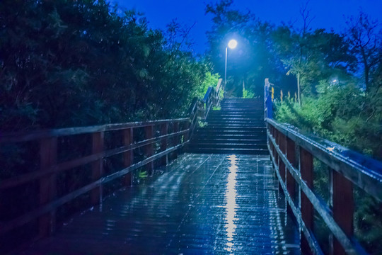 青岛海滨夜景