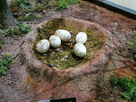 恐龙蛋