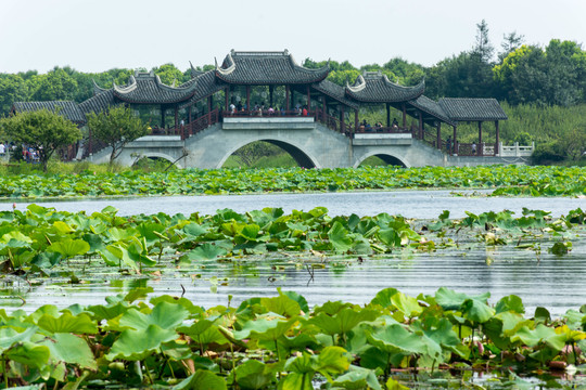 上海海湾国家森林公园