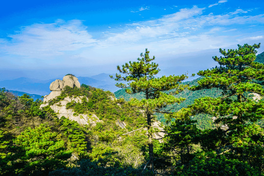 山景