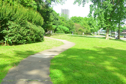 城市树林和草坪里的健身步行道