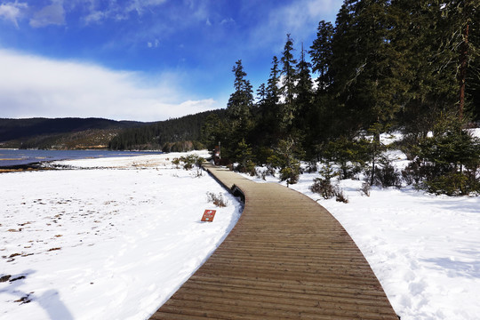 普达措国家公园属都湖栈道雪景