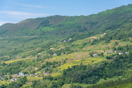 山村稻田