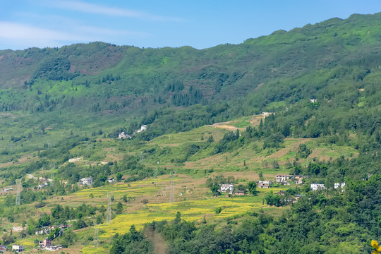 山村稻田