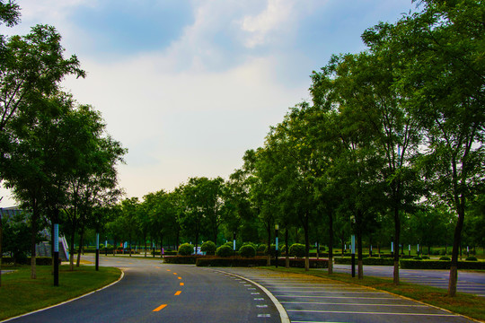 鞍山奥体中心湾形公路车位树木