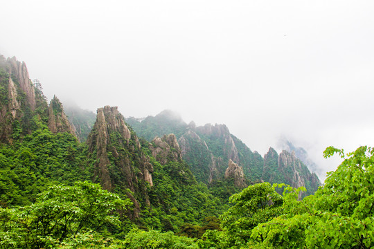 黄山晨雾