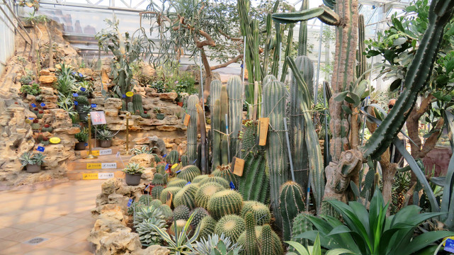 沙漠植物温室