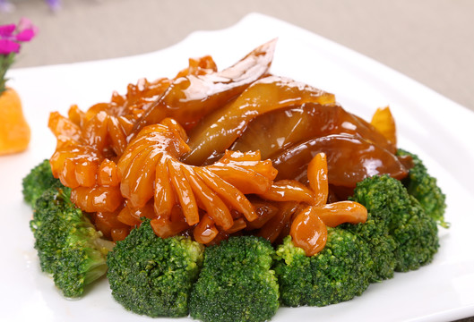 黄玉参烧牛鞭