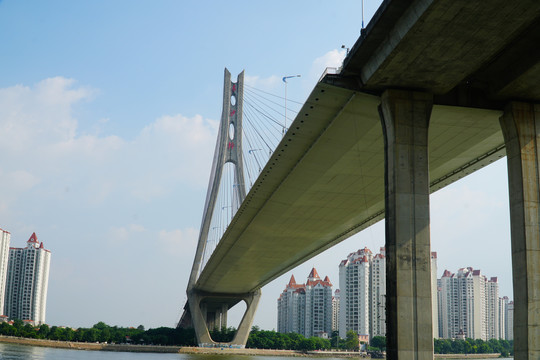 广州东沙大桥