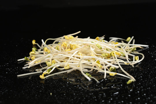 豆芽