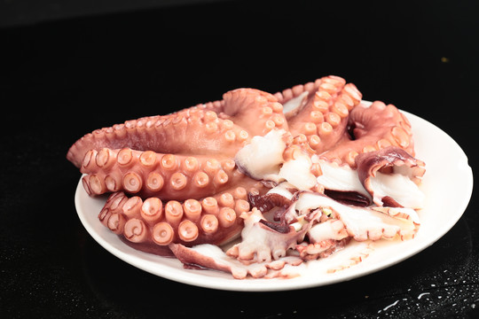 深海八爪鱼