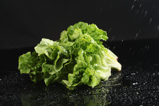 生菜