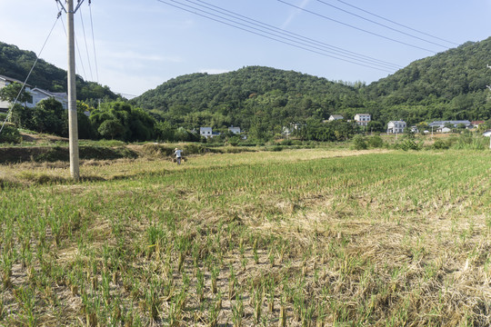 秋天田野