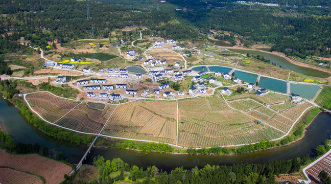 巴山新居新农村种植业