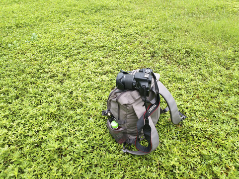 草地背包相机