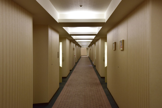 日本东京巨蛋酒店的走廊