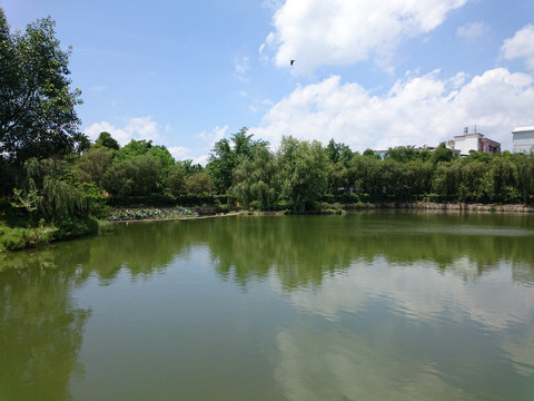纪念园风景