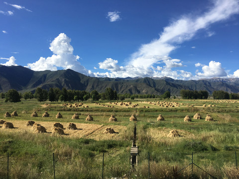 西藏风景