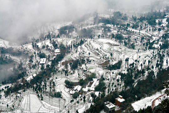 巴中阴灵山梯田雪景