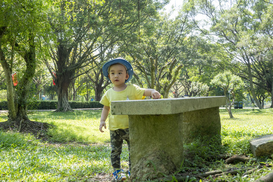 孩子在树林中玩耍