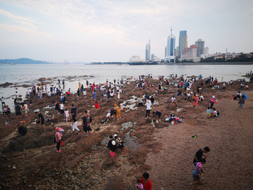 青岛栈桥海边