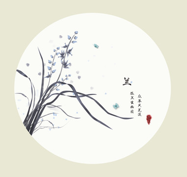 兰花