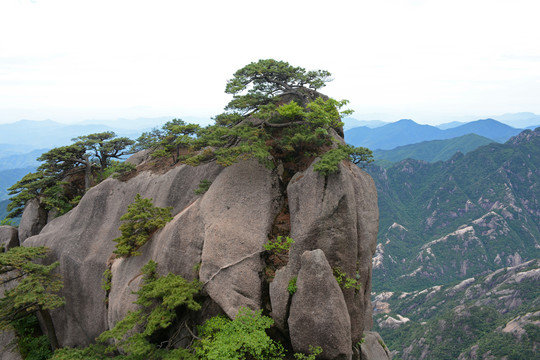 黄山