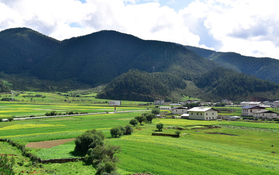 香格里拉田园风光