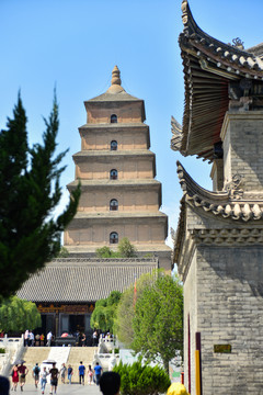 唐大慈恩寺遗址公园