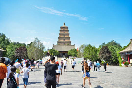 唐大慈恩寺遗址公园