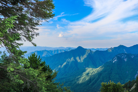 牛背梁秦巴山