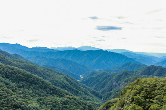 牛背梁秦巴山