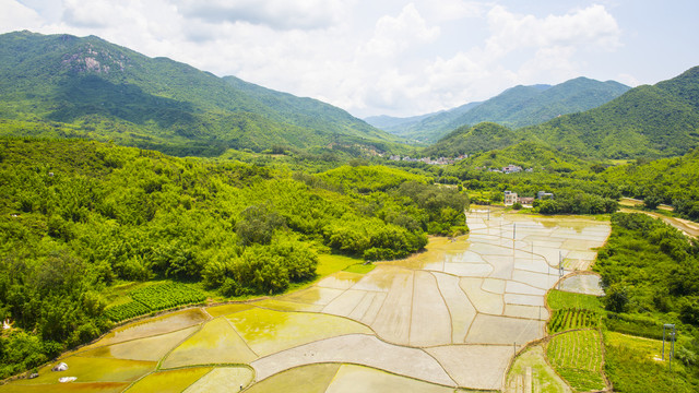 田园风光