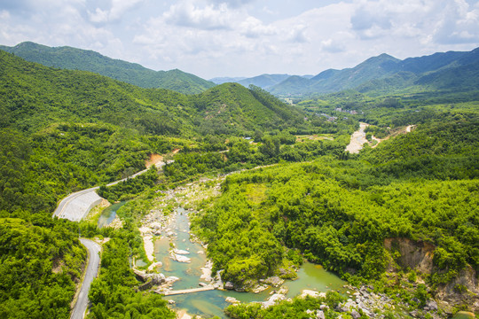 高清竹林