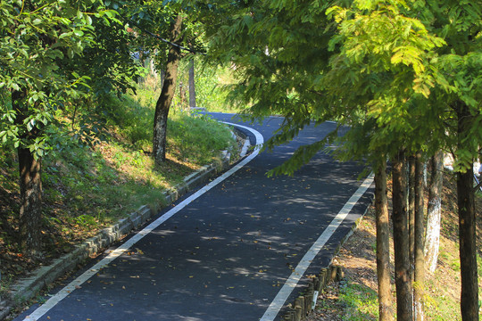 林间小路