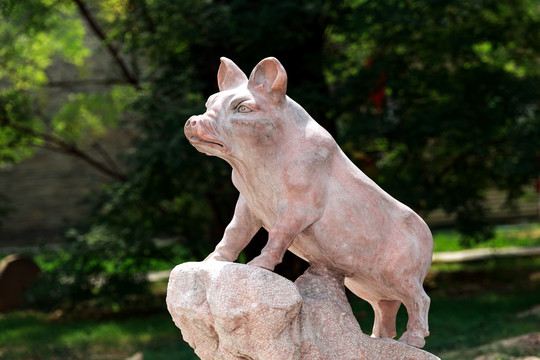 生肖猪雕塑