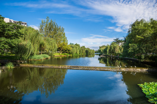 西南交通大学水景