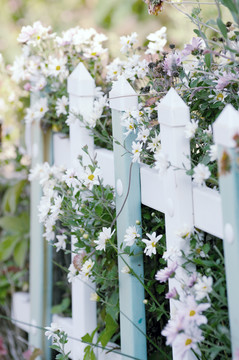花坛围栏