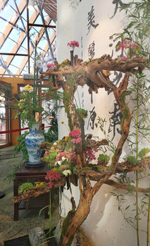 北京园艺博览会的花花草草