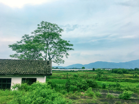 乡村