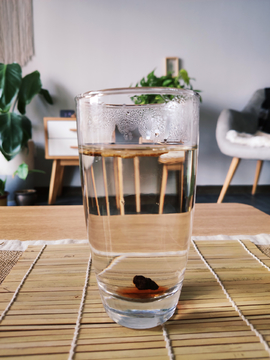 茶