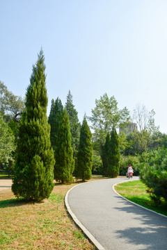 公园小路