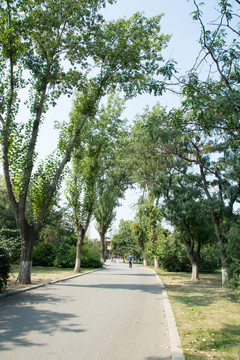 公园小路