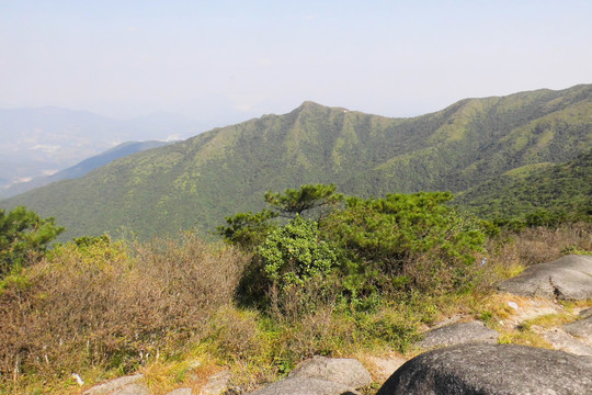 梁野山脉