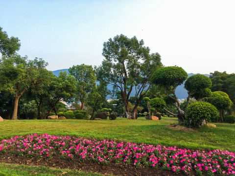 波海湖公园园林景观